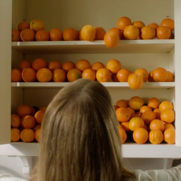 Meow Wolf Orange Awakening Orange Mitosis - Picture 4 of 4